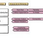 organivolution_estructuras_elementos.png