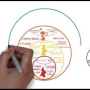 cultura_de_organizaciones_segun_f._laloux.png